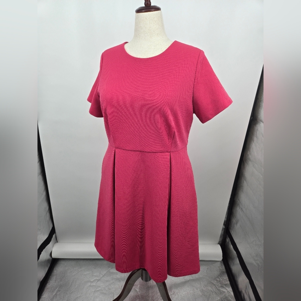Hutch Hot Pink Fit & Flare Mini Dress 0X (6543)